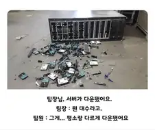 서버가 다운됐다
