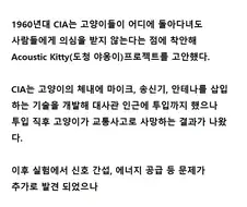 고양이 몸 속에 도청기를 넣은 CIA