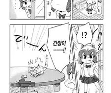 아라이상이 고양이 키우는 만화.manga
