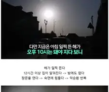 아연판 때문에 더워뒤질 거 같은 프랑스 파리.