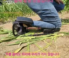 비어걸 이런거라도 주면 좋을듯