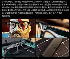 인도회사의 스마트 글래스