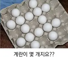100번을 세어도 헷갈리는 계란개수