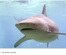"음 해경들이 드디어 철수했군"