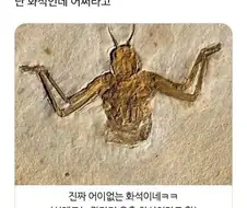 bts)광화문으로 서로에게 깨시민이다 이러는게 제일 유머임