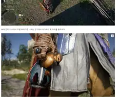 붉은 사막) 새끼 오리도 키움 ㅋㅋㅋㅋㅋ