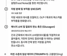 마운자로 다음 단계 약은 쯔양 만들어주는거 같은데??