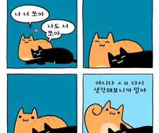 냥이 사이쪼아
