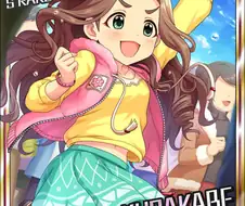 아니시벌 페도짓좀 작작해라