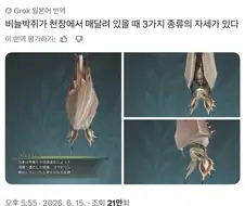 몬헌 와일즈 새로 발견된 의외의 디테일