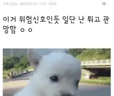주식)지금 국장 오르는게 위험 신호인 이유