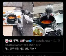 의외로 한국에서 못먹으면 멸종하는 음식