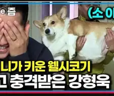 강형욱도 경악한 확대