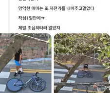 중2 아들한테 픽시 자전거 사준 부모