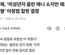 헌재, ‘미성년자 음란 애니 소지만 해도 실형’ 아청법 합헌 결정