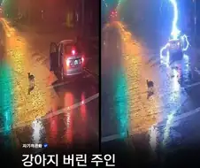 강아지 버리고 천벌받은 남자