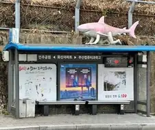 부산상어 부캉이는 이미