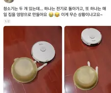 청소기 두대 돌리는 집