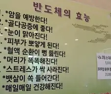 우리가 몰랐던 반도체의 효능 ㄷㄷ