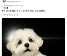 동물병원에서 수의사에게 들은 말.jpg