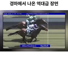 경마에서 나온 역대급 장면.jpg
