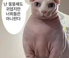 난 뚱뚱해도 귀엽지만 너희들은 아니…