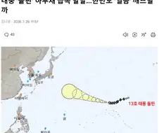 돌핀아 어서와!