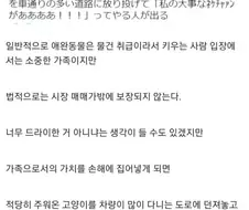 반려동물이 법적으로 물건 취급인 이유