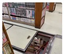 일본 차원 달라