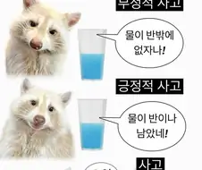 "사고 방식의 종류"