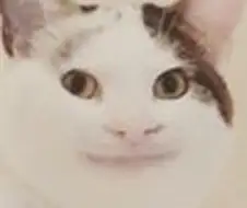 착각하는공방주] 이것도 재밌네