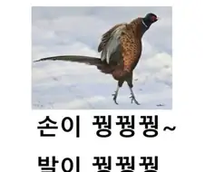 와 폭염 지나니까 날씨 진짜