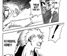 블리치) 이치고가 적에게 바보야 피해라고한 이유