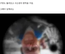 뇌 사용량의 가장 많은 부분을 차지한다는 기능 jpg.