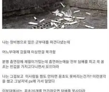 어느 군부대의 신기한 흡연 규칙.jpg