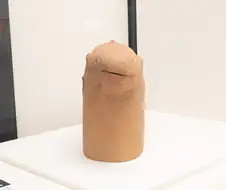 이게 물고기 토우?