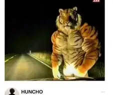 집가던중 길에서 자연재해가 나타났어...