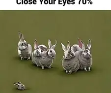 흐린눈으로 보면 안되는 사진