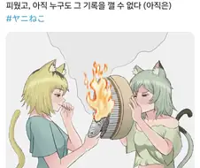 담배 고양이라면 깰 수 있을 것 같은 기록