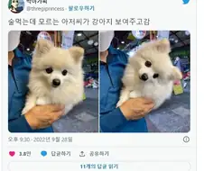 술 먹는데 모르는 아저씨가 강아지 보여주고감.jpg