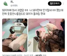 돼지카페의 인기인ㄷㄷㄷㄷㄷㄷ