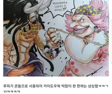 원피스) 루피 콘돔 쓰는 만화 (혐)