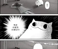 고양이의 사고 논리