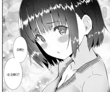 여동생 있는 사람만 공감하는 만화류 甲