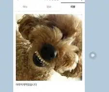 야무지게 먹었습니다.jpg