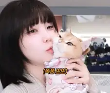 우정잉네 고양이 꾸꾸 보니까