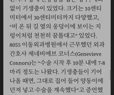 6.25전쟁과 회충