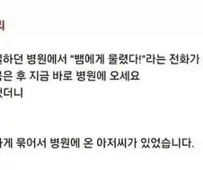 뱀을 묶어버린 어느 상남자