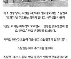 아청법 하니 떠오르는 유머