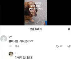 설명 하기 어려운 유머.jpg